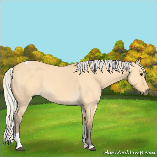 Horse Color:Silver Buckskin Dun Tobiano 