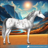Horse Color:Grullo Sabino Splash  and Grullo Sabino Splash 