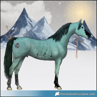 Horse Color:ERROR: UNKNOWN ANOMALY