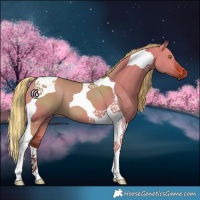 Horse Color:Painted Silver Bay Dun Tobiano 