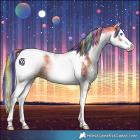 Horse Color:Painted Nacre White Spotted Bay Splash Tobiano 
