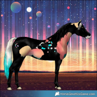 Horse Color:Palomino Dun Splash Tobiano