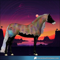 Horse Color:Nacre Silver Brown Splash