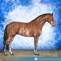 Horse Color:Bay Sabino Rabicano  and Bay Sabino Rabicano 