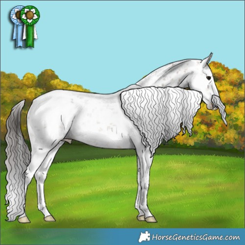 Horse Color:White Spotted Bay Sabino Rabicano 