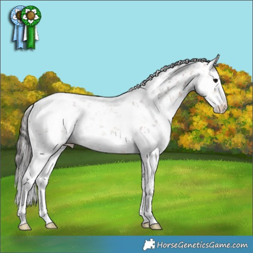 Horse Color:White Spotted Bay Sabino Rabicano 