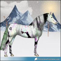 Horse Color:Watercolor Black Ice Tobiano 