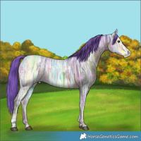 Horse Color:Watercolor Liver Chestnut Ice 