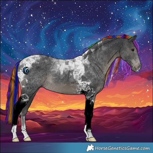 Horse Color:Painted Black Tobiano 