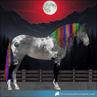 Horse Color:Painted Black Tobiano