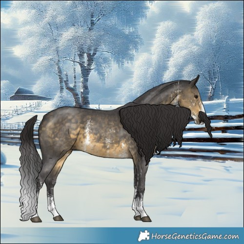 Horse Color:Buckskin Sabino 