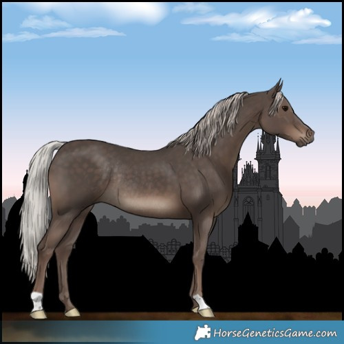 Horse Color:Silver Black Rabicano 