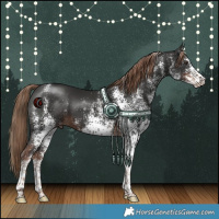 Horse Color:White Spotted Liver Chestnut 