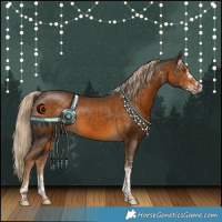 Horse Color:White Spotted Chocolate Palomino Tobiano 