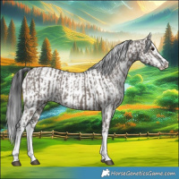 Horse Color:Grullo Sabino Splash  and Grullo Sabino Splash 