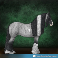 Horse Color:Blue Roan Splash Tobiano 