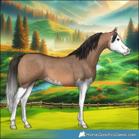 Horse Color:Bay Dun Splash 