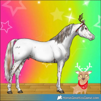 Horse Color:Chestnut Sabino Tobiano Appaloosa Rabicano and Gray Grullo Sabino Tobiano Rabicano