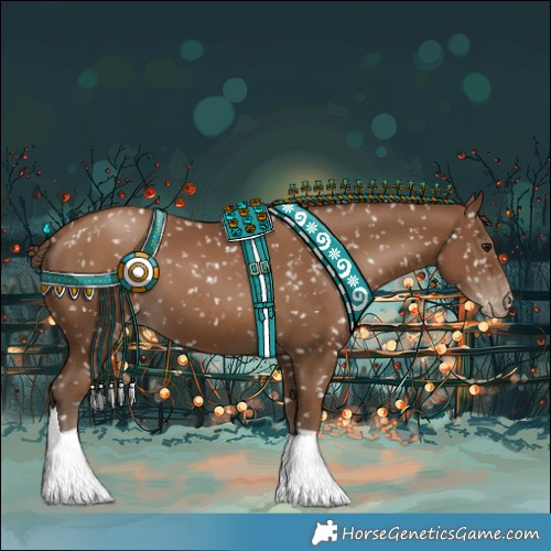 Horse Color:Gray Black Pearl Appaloosa 