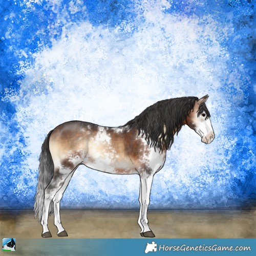 Horse Color:Brown Onyx Sabino 