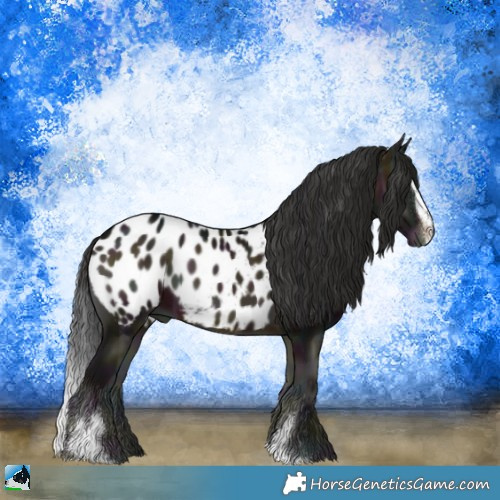 Horse Color:Midnight Brown Ice Onyx Sabino Appaloosa 