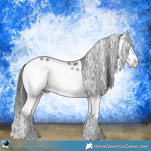 Horse Color:Brown Onyx Sabino Splash 