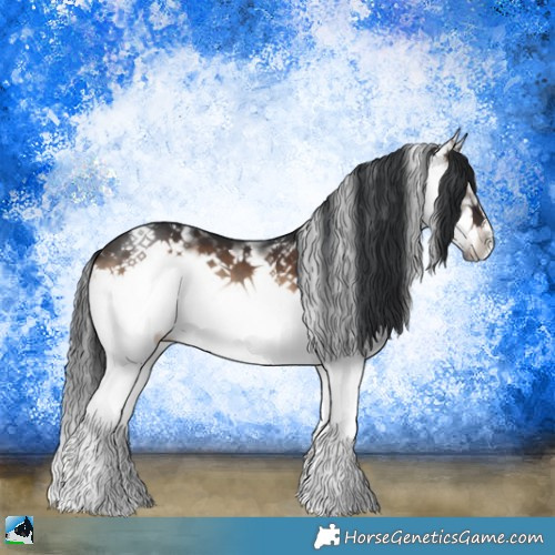 Horse Color:Brown Onyx Sabino Splash Frame 