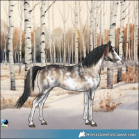 Horse Color:Brown Onyx Sabino Splash