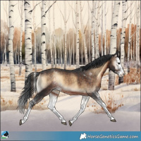 Horse Color:Brown Onyx Sabino Splash 