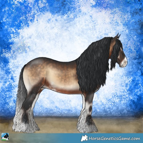 Horse Color:Brown Onyx Sabino 