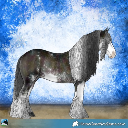 Horse Color:Midnight Brown Onyx Sabino Rabicano 
