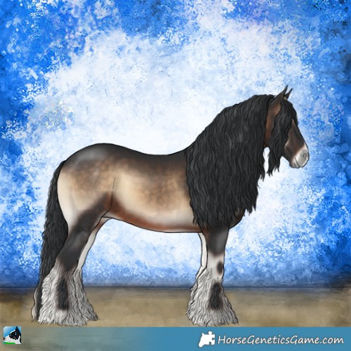 Horse Color:Brown Onyx Sabino Rabicano 