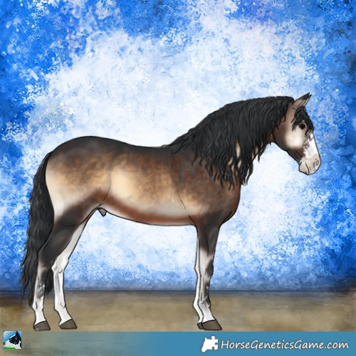 Horse Color:Brown Onyx Sabino 