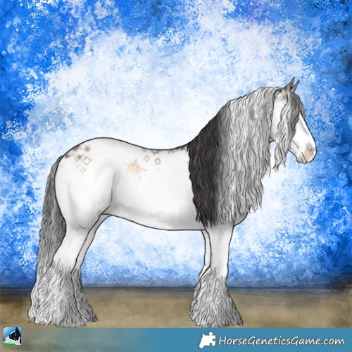 Horse Color:Bay Onyx Sabino Splash Rabicano 