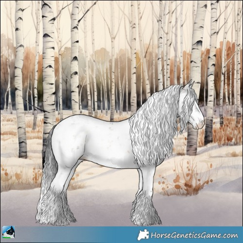 Horse Color:Brown Onyx Sabino Appaloosa 