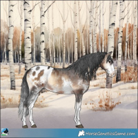 Horse Color:Brown Onyx Sabino Appaloosa Rabicano 