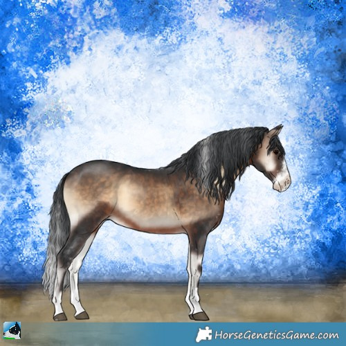 Horse Color:Brown Onyx Sabino 