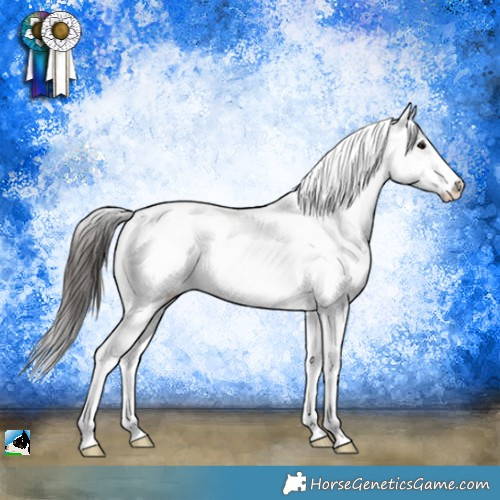 Horse Color:White Spotted Brown Appaloosa Rabicano 
