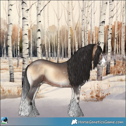 Horse Color:Brown Onyx Sabino Rabicano 