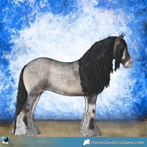 Horse Color:Blue Onyx Ice Rabicano 