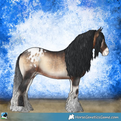 Horse Color:Brown Onyx Appaloosa Rabicano 