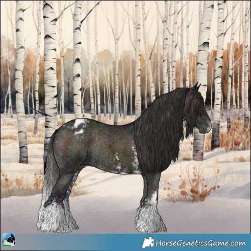Horse Color:Midnight Buckskin Ice Onyx Sabino Appaloosa Rabicano 