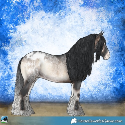 Horse Color:Brown Ice Onyx Appaloosa Rabicano 