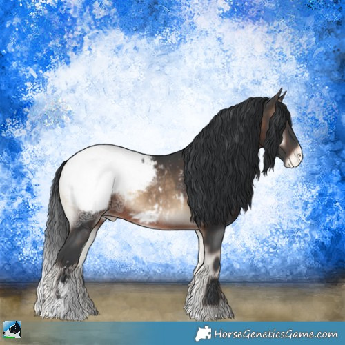 Horse Color:Brown Ice Onyx Sabino Appaloosa Rabicano 