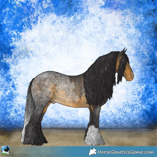 Horse Color:Buckskin Ice Appaloosa Rabicano 