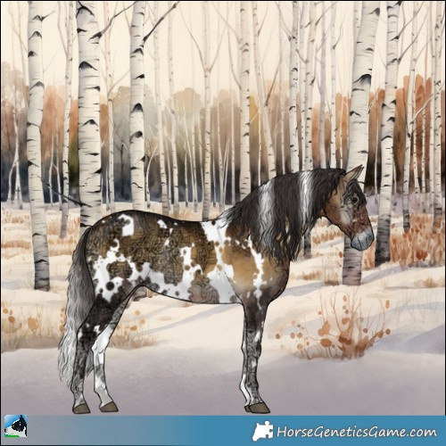 Horse Color:White Spotted Buckskin Ice Onyx Rabicano