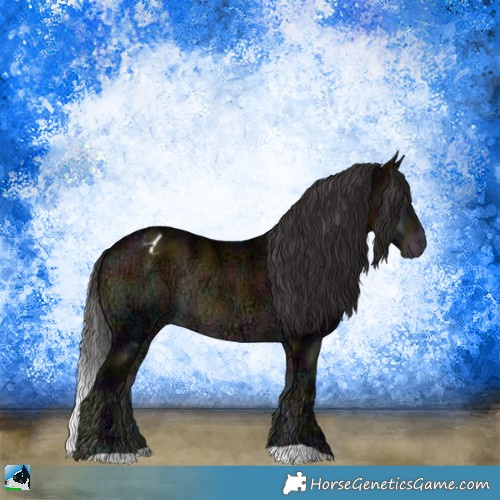 Horse Color:Midnight Buckskin Ice Onyx Appaloosa Rabicano 