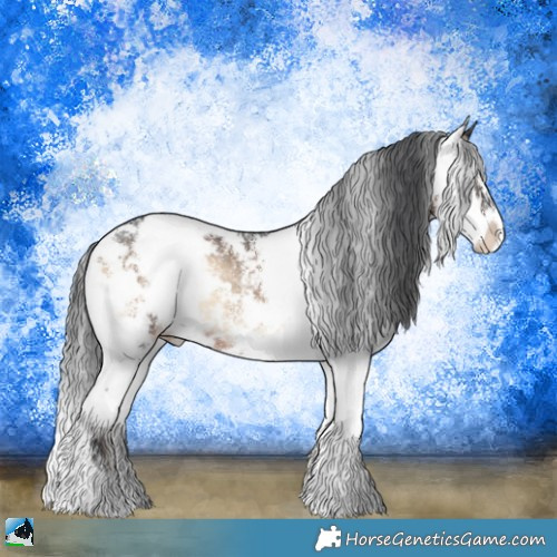 Horse Color:Brown Onyx Sabino Appaloosa Rabicano 