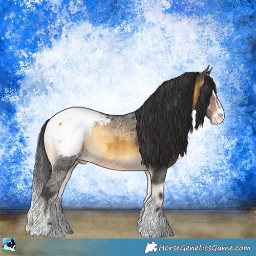 Horse Color:Buckskin Ice Onyx Sabino Appaloosa Rabicano 