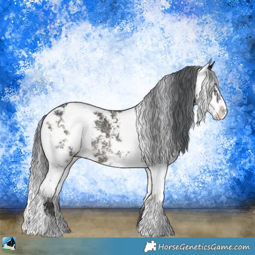 Horse Color:Midnight Brown Onyx Sabino Rabicano 